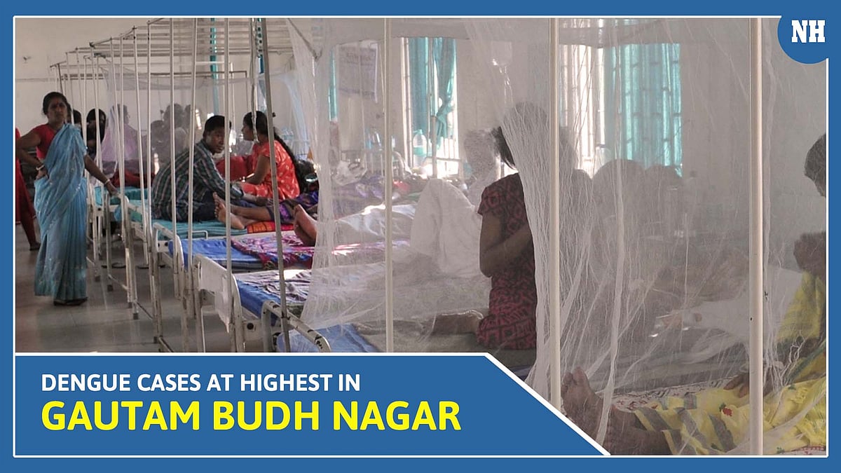 Dengue cases at highest in Gautam Buddh Nagar district   