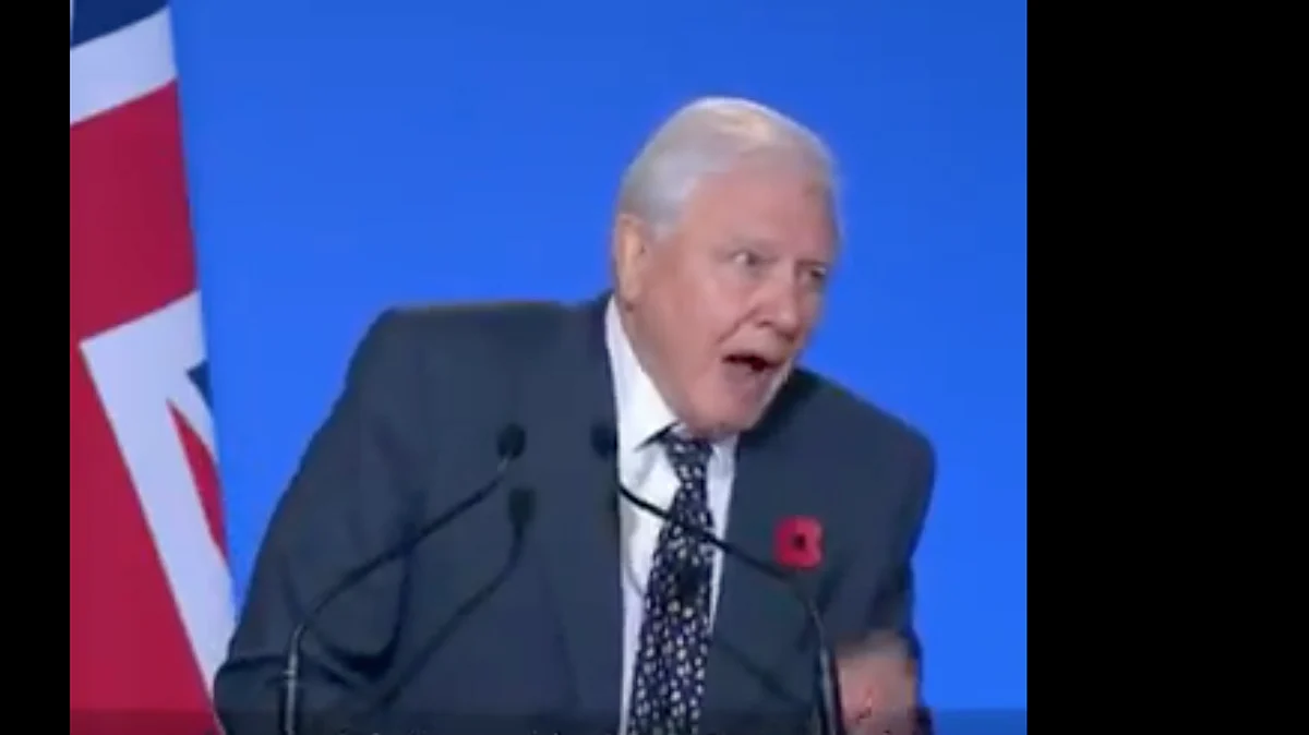 Stability of the last 10,000 years threatened, warns David Attenborough