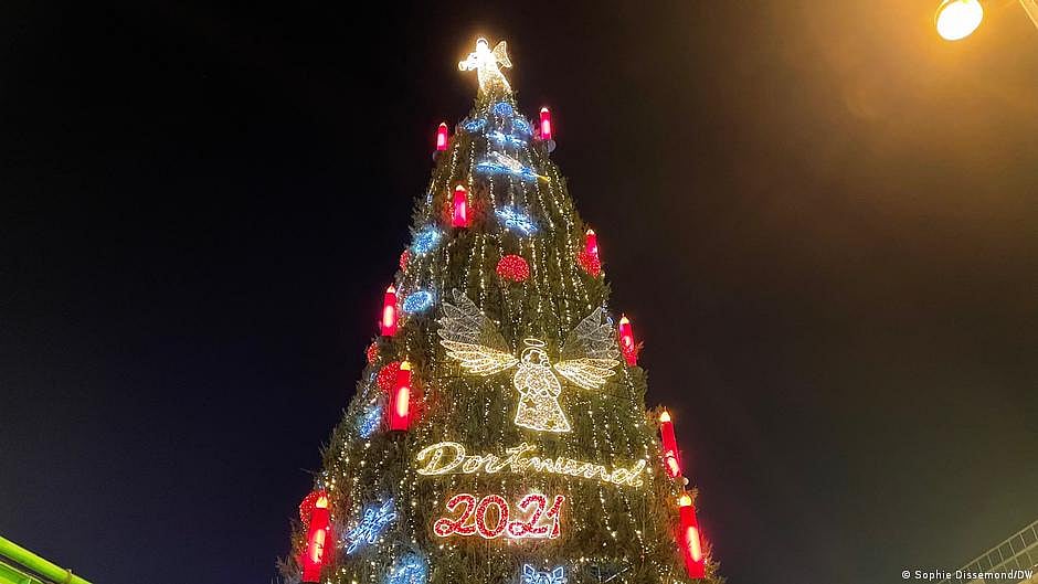 Live Christmas trees affect indoor air chemistry: Researchers