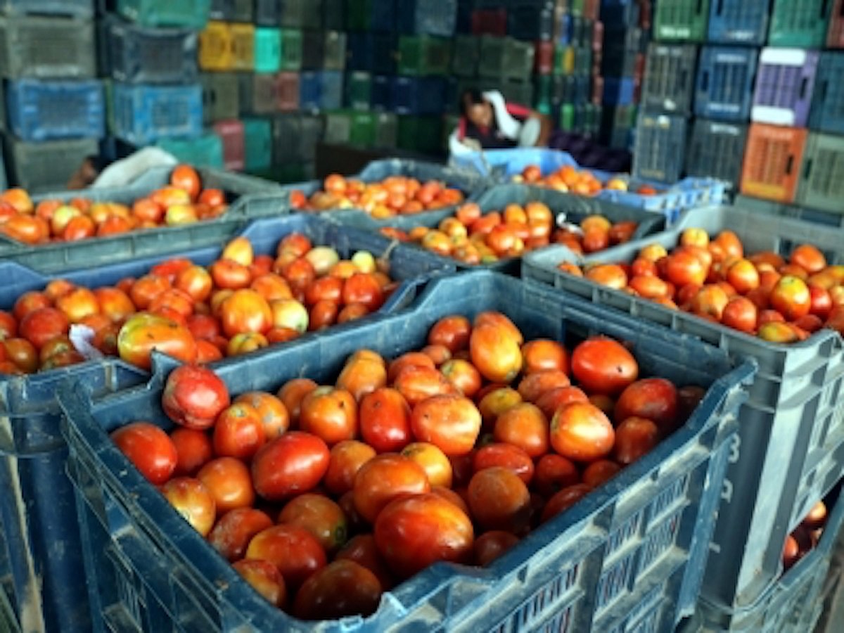 Tomato prices skyrocket in Chennai after supplies hit by heavy rainfall