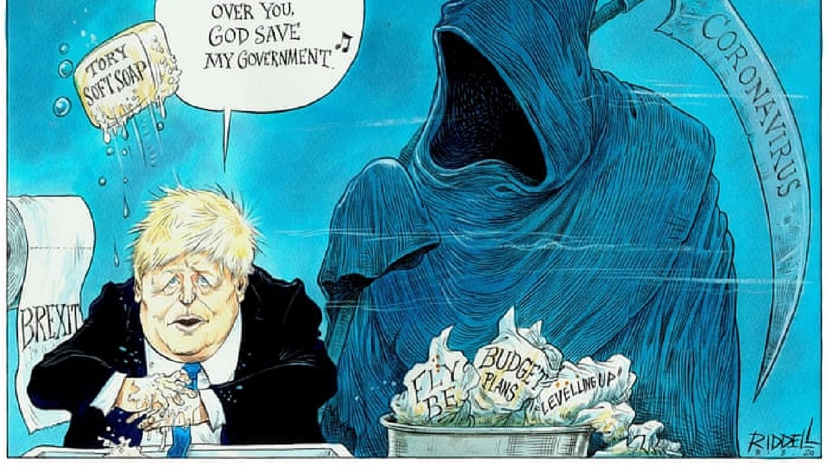 Cartoon