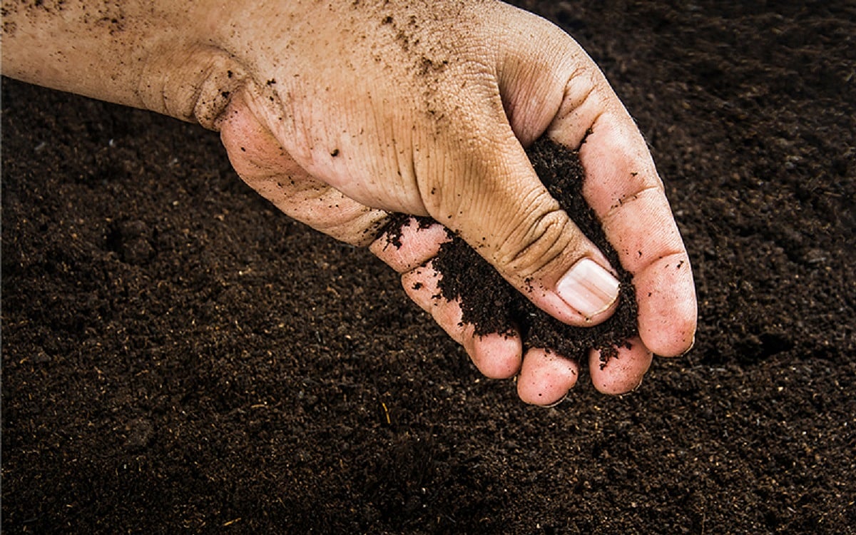 UP girl develops app for soil identification