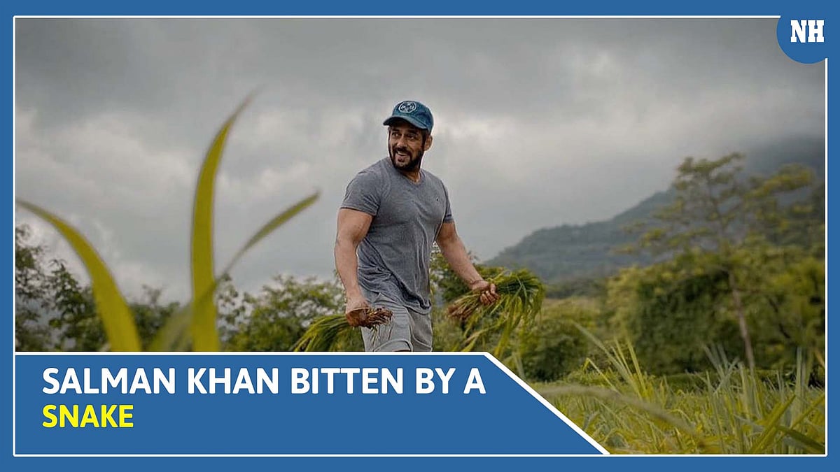 Salman Khan bitten by a snake
