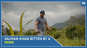 Salman Khan bitten by a snake