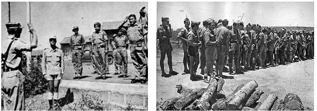 Liberation of Goa: Socialists fought against the Portuguese occupation