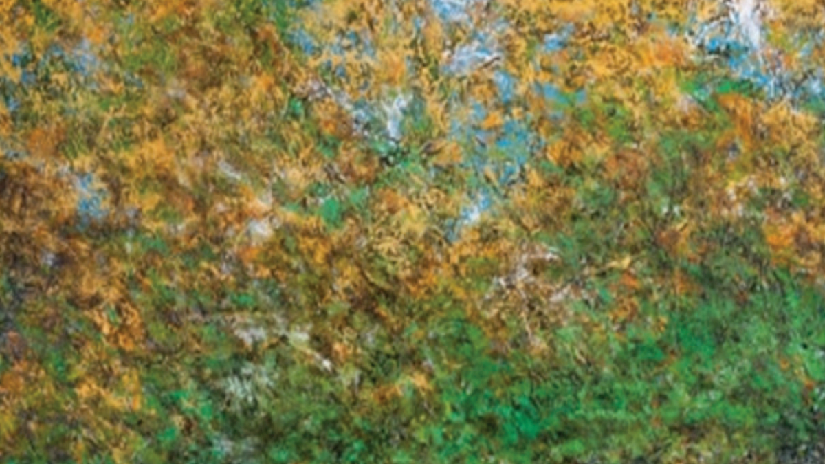 'Touched by the Sun': Veteran artist Paramjit Singh's work leaves you with a tender illusion of space