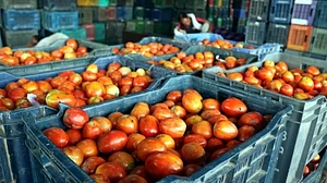 Tomato prices soar, touch Rs 100/kg in Chennai