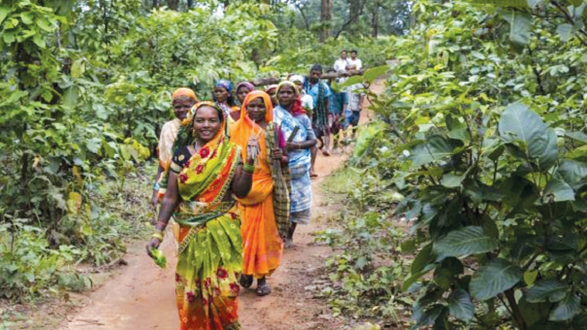 Have 'Rights' been finally granted to tribes and 'Traditional Forest Dwellers'?