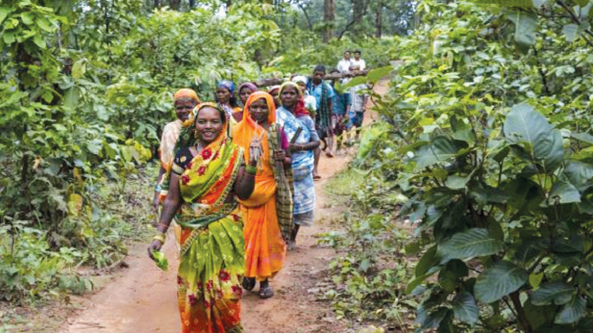 Have 'Rights' been finally granted to tribes and 'Traditional Forest Dwellers'?