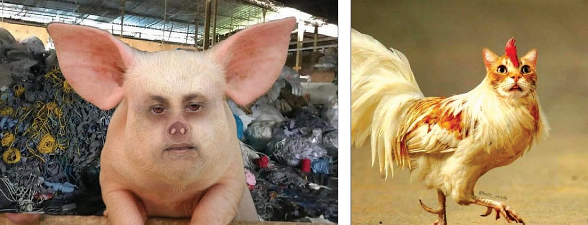 With politics turning into an ‘animal farm’, do politicians need a code of conduct ?