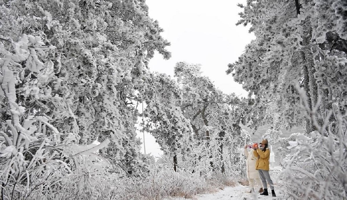 Enhanced rainfall/snowfall over western Himalayan region: IMD