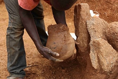 Cooked leafy greens were first served 3,500 years ago: Study