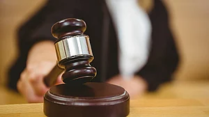 SC dismisses PIL seeking declaration of all animals as legal entities