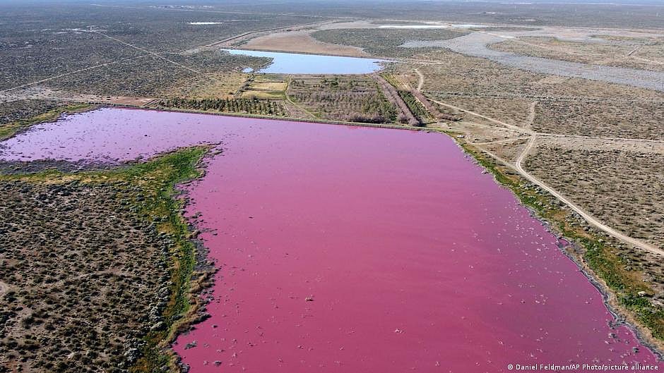 Chromium contamination: NGT raps UP authorities, asks chief secy to act