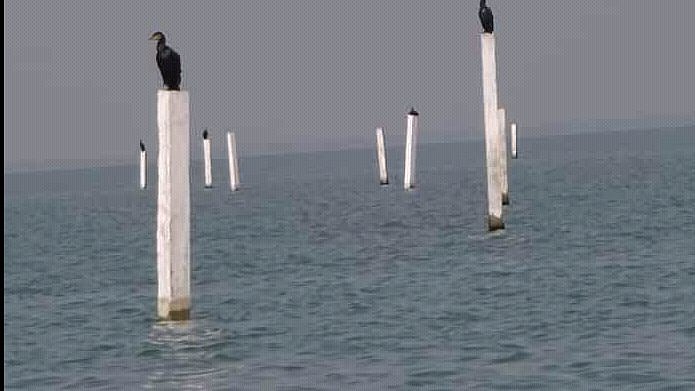 Photo courtesy: Twitter/ @AnupKrGhoshal1