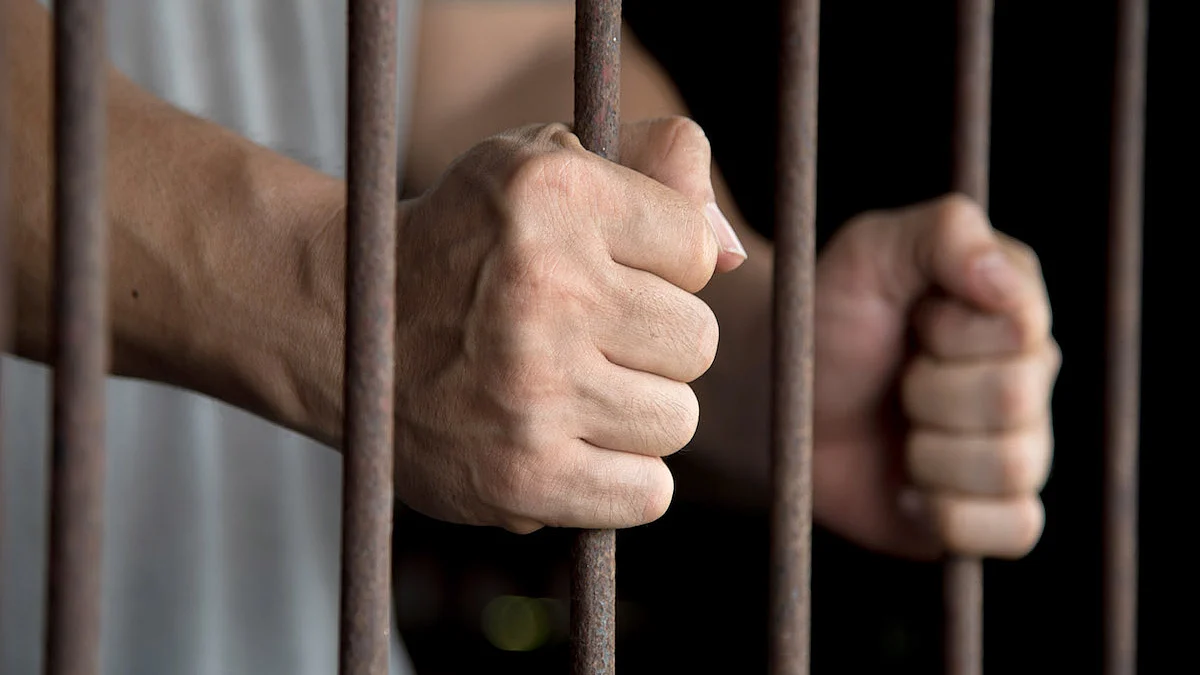 Agra-based journo released on bail