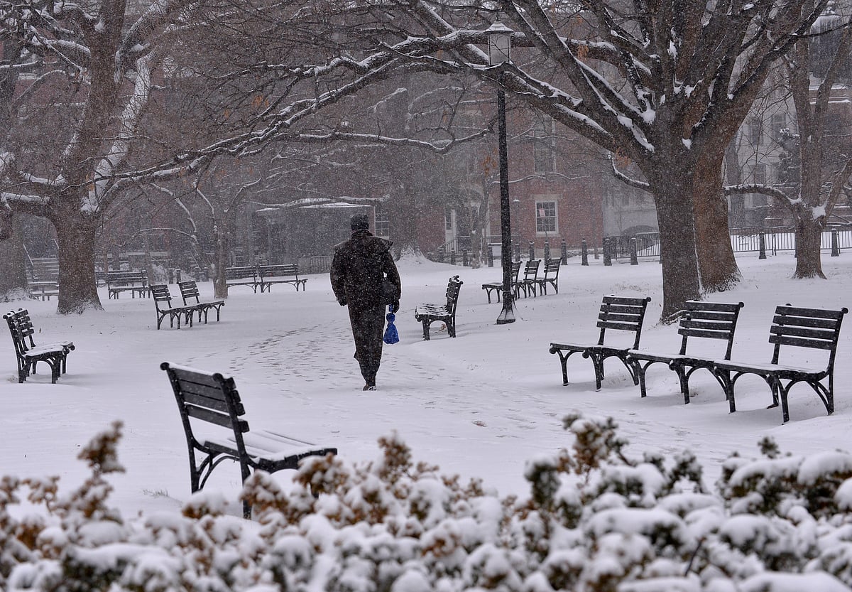 Winter storm hits US' Texas, statewide power failure 'not expected'