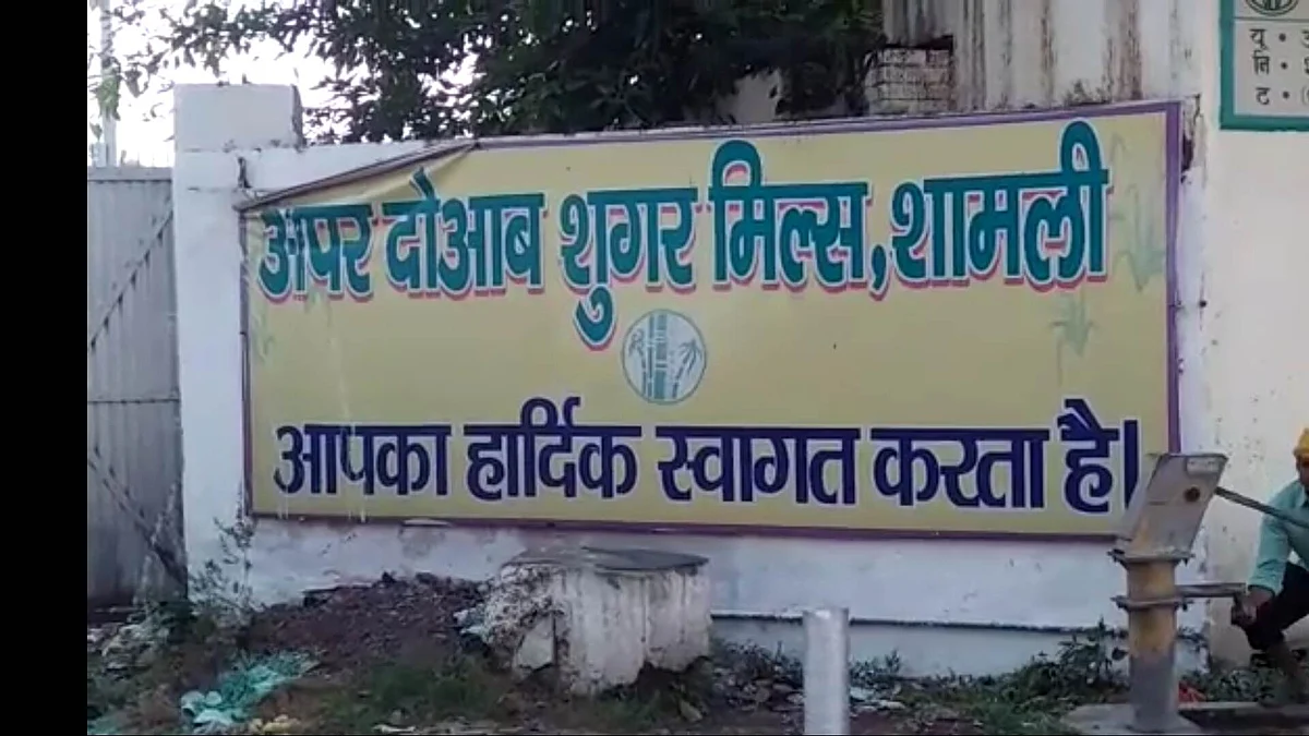 In Shamli distt, farmers vying for 'change'; SP-RLD candidates in stronger position 