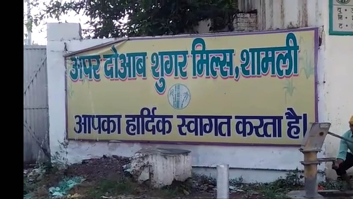 In Shamli distt, farmers vying for 'change'; SP-RLD candidates in stronger position