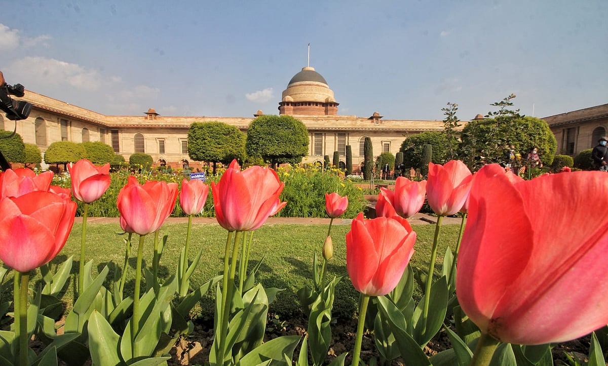 Mughal Gardens to open from Feb 12; entry through online booking only