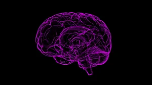 IISc scientist brings out material that can help computers mimic human brain function