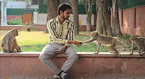 Bollywood Baatein: Extraordinary films about ordinary people