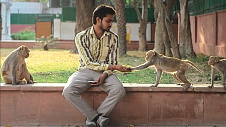Bollywood Baatein: Extraordinary films about ordinary people