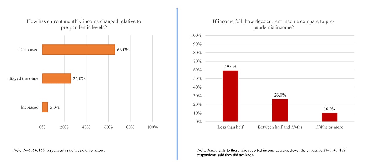 Pandemic led to drastic fall in income, food security across nation, reveals survey