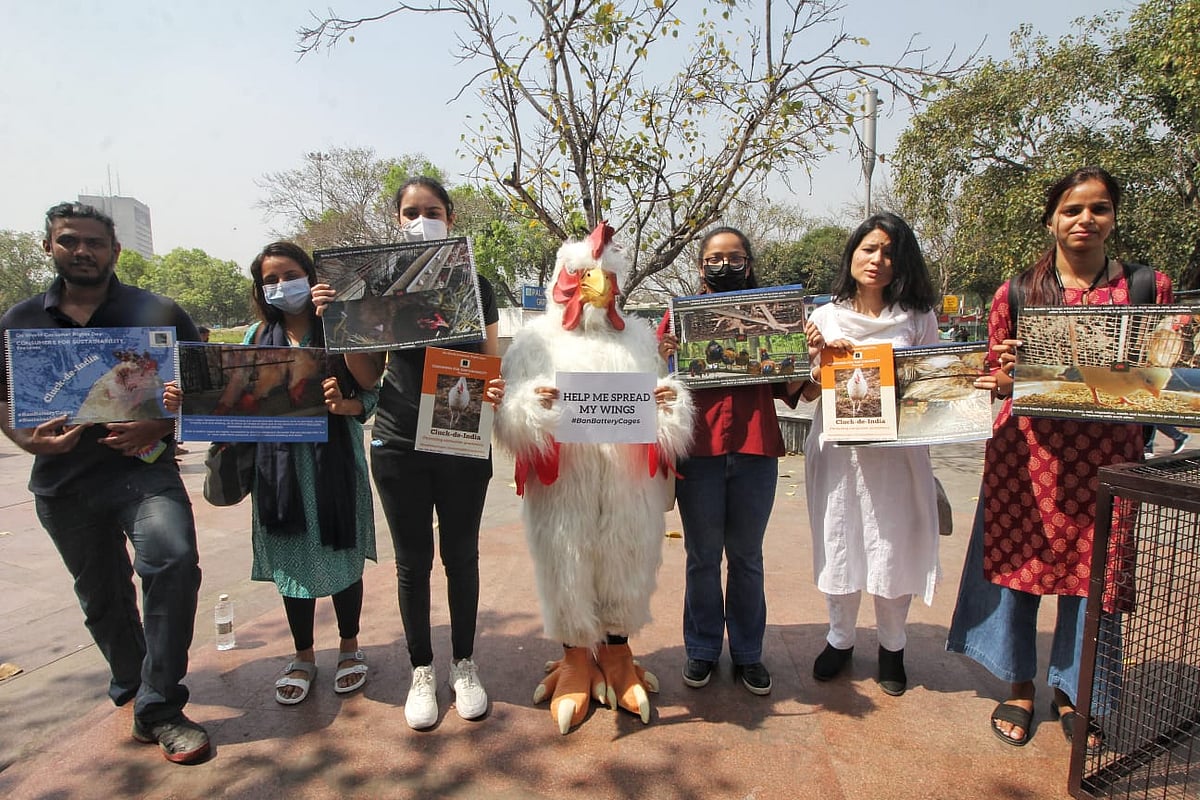 NGO Consumers For Sustainability holds awareness drive against cruel practices in poultry industry