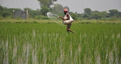 Ukrainian crisis to push up fertiliser prices; government subsidies