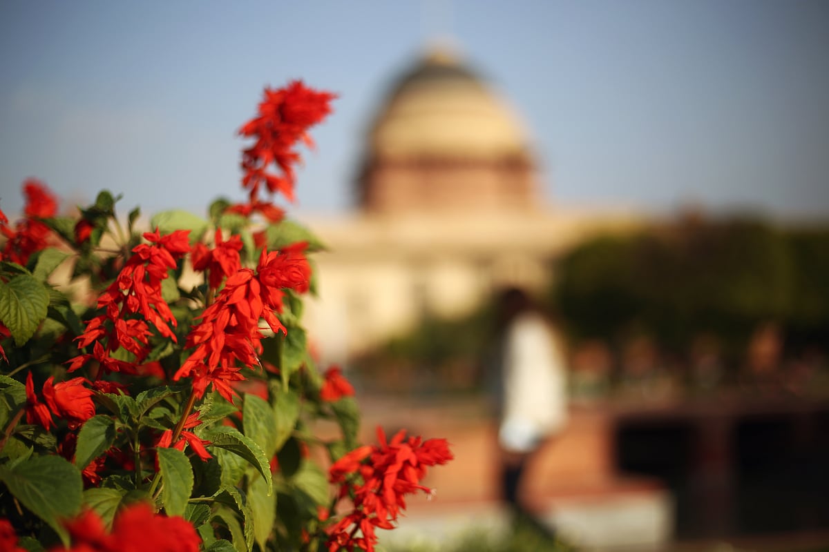 Different shades and colours of the blooms at Mughal Garden in Delhi