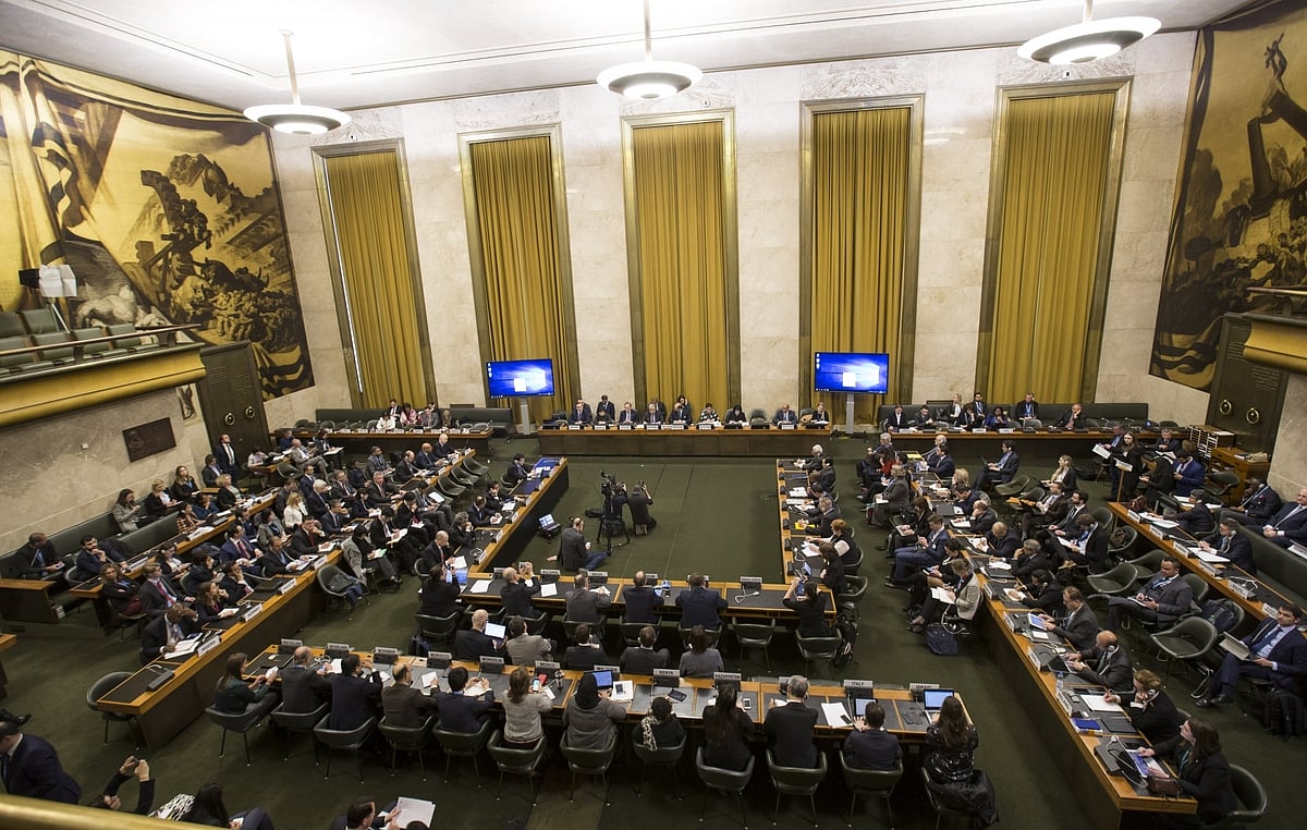 Nations convene in Geneva for UN biodiversity summit