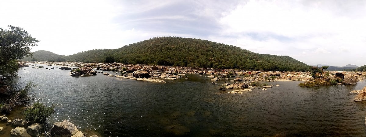 Tamil Nadu passes resolution against K'taka's decision to build dam at Mekedatu