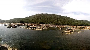Tamil Nadu passes resolution against K'taka's decision to build dam at Mekedatu