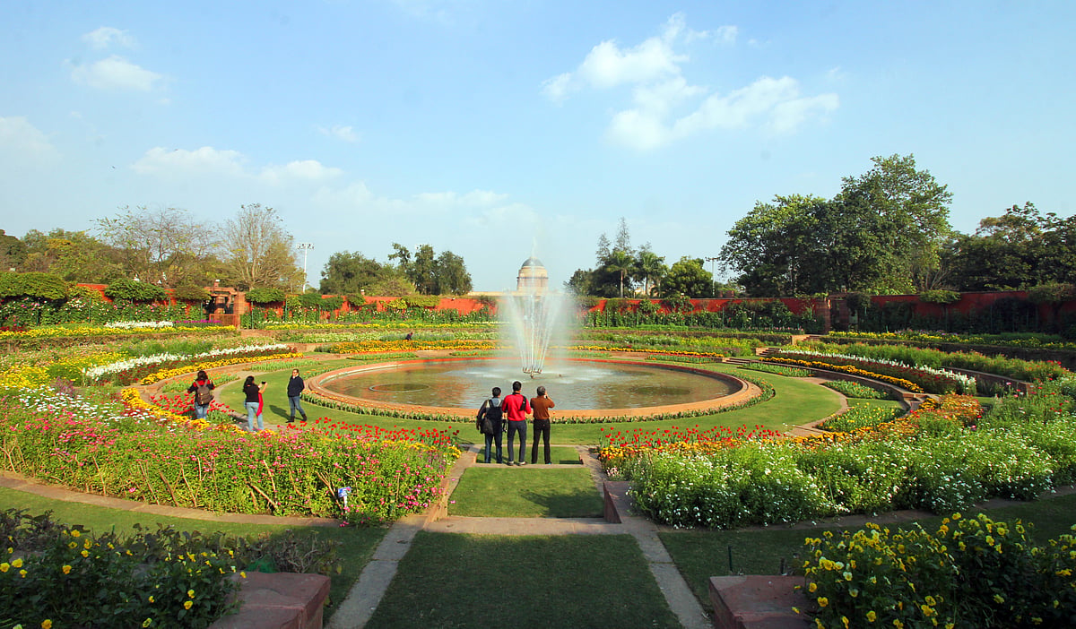 Different shades and colours of the blooms at Mughal Garden in Delhi