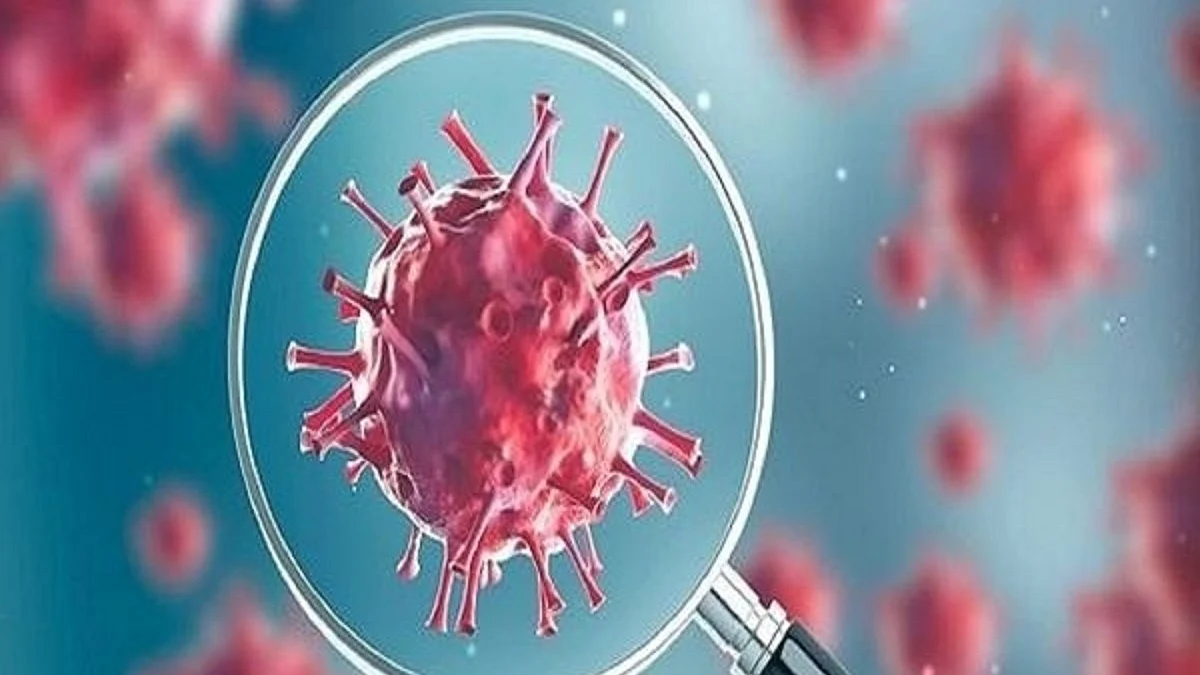 Covid mixed with flu increases severe illness, death risk: Lancet
