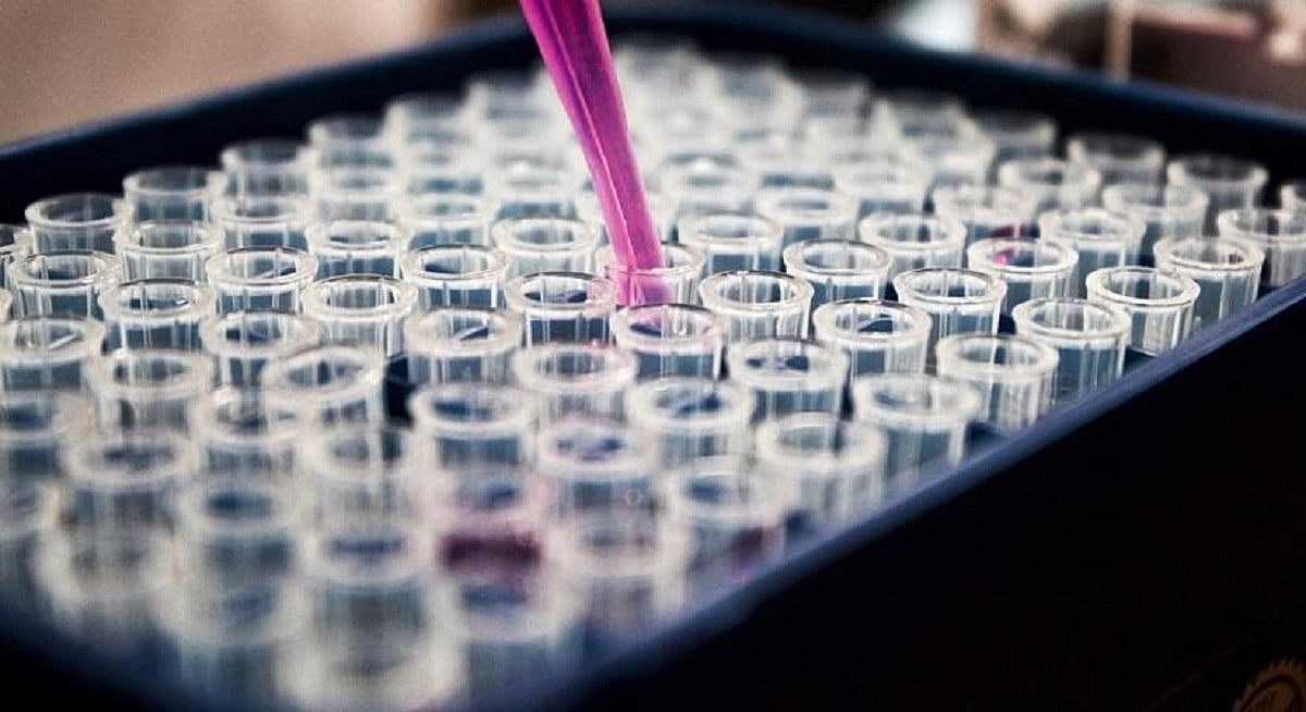 Scientists develop new combo treatment for head and neck cancer