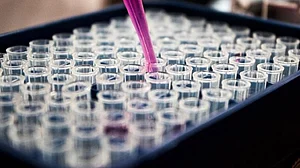 Scientists develop new combo treatment for head and neck cancer