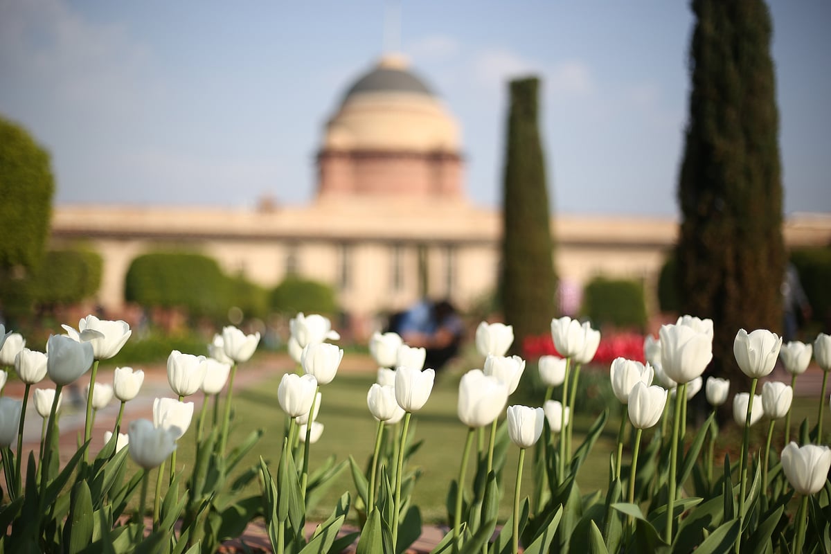 Different shades and colours of the blooms at Mughal Garden in Delhi