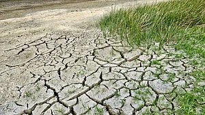 Financial impact of climate-related risks to Indian cos estimated at Rs 3,285bn