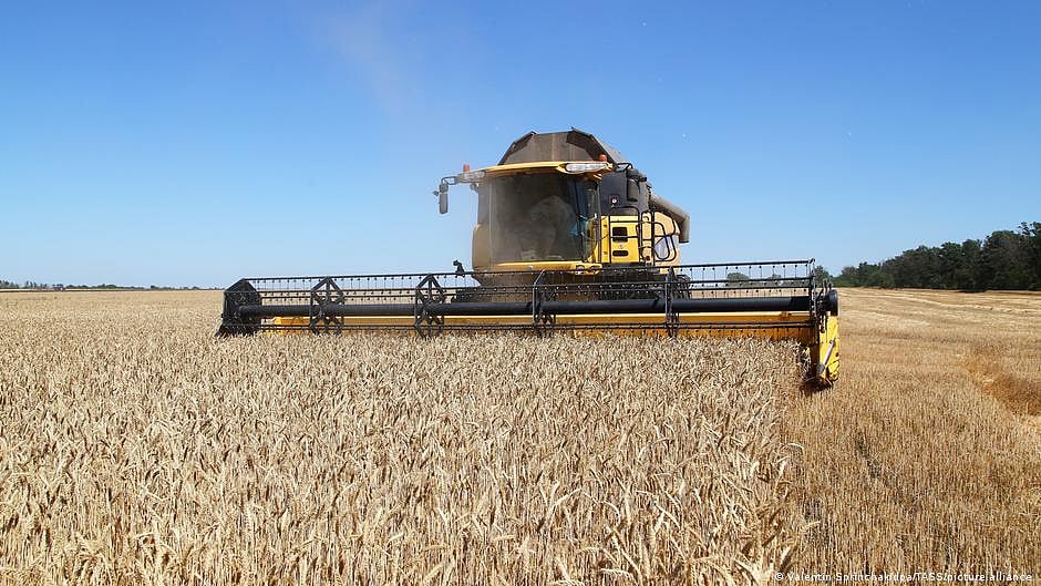 Ban on wheat export aimed at ensuring windfall profits for private players at expense of poor farmers?