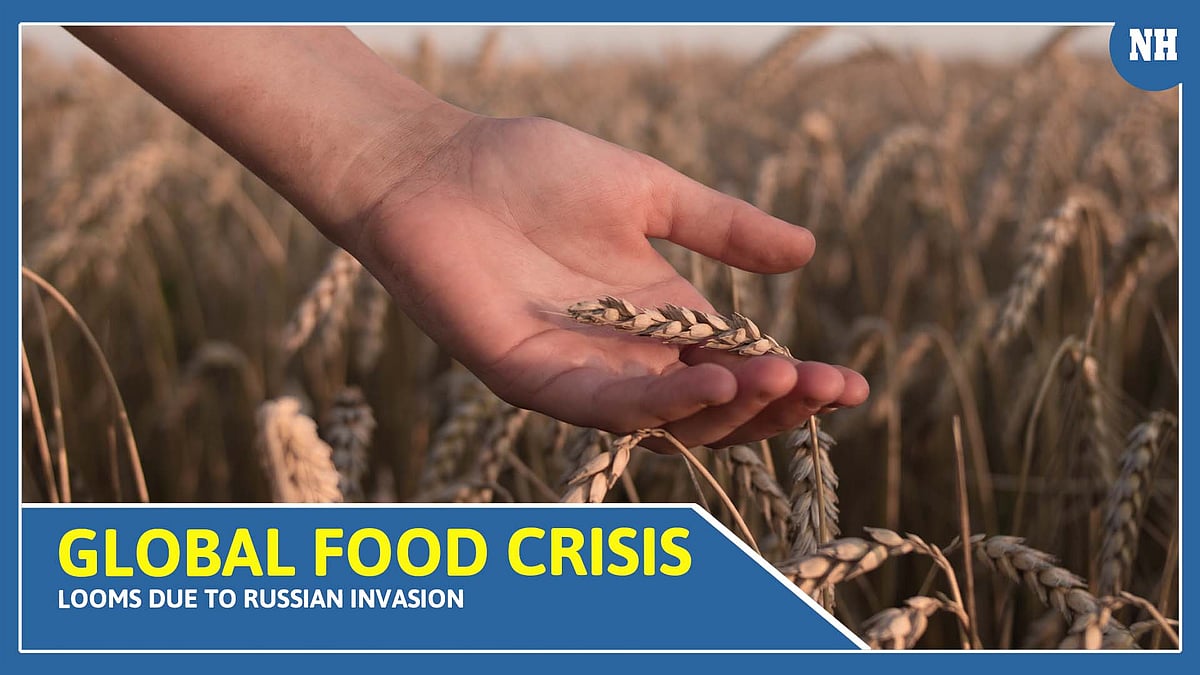 Wheat crisis looms in world due to Russia-Ukraine conflict: Shashi Tharoor 