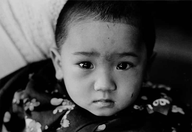 Japan Foundation New Delhi reopens with a monumental exhibition on Tohoku