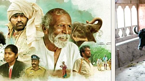 Bollywood Baatein: Waiting for an Oscar