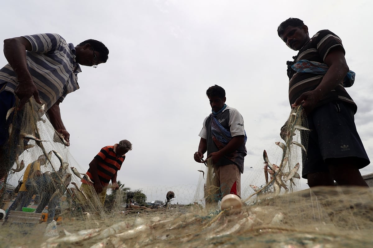 Tamil Nadu to form exclusive bank for fishermen