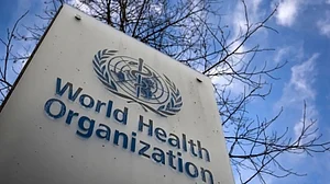 Zika, dengue could trigger next pandemic: WHO