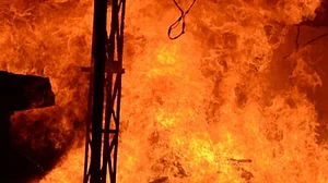 Massive fire breaks out in Ghaziabad, 20 cows charred to death