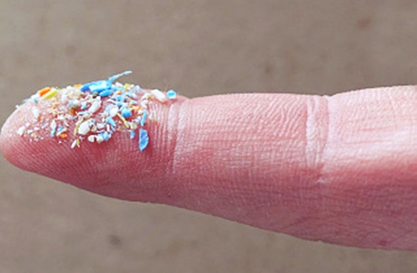 Microplastics in Cauvery river may be harming fish: Study