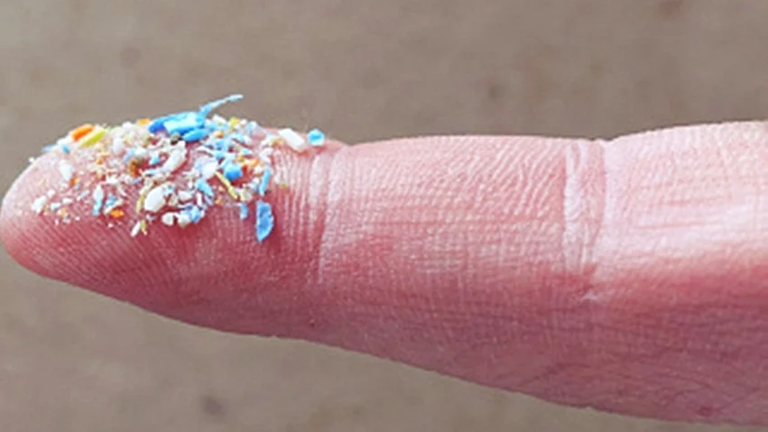 Microplastics in Cauvery river may be harming fish: Study