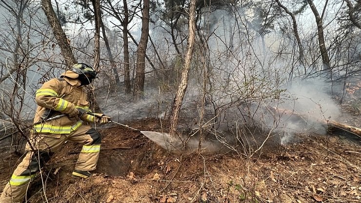 Wildfire burns 521 hectares of woodland near inter-Korean border